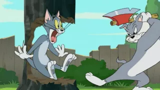 Tom a Jerry: Rýchlo a chlpato