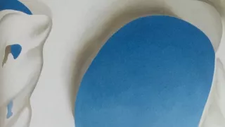 Georgia O’Keeffe: Umělkyně dalekého západu