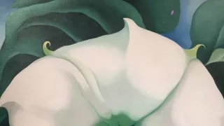 Georgia O’Keeffe: Umělkyně dalekého západu