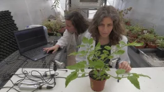 Geniální rostliny (1/2)