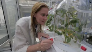 Geniální rostliny (1/2)