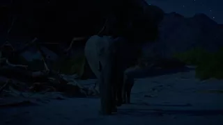 Kalahari - zákony pouště (2/2)