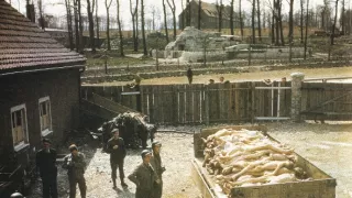 100 dní do kapitulace (4)