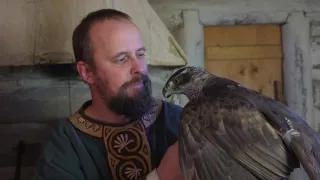 Sokoliarstvo - vznešené umenie lovu