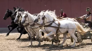 Římské dostihy (2/2)