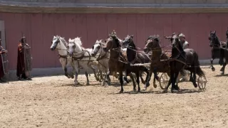 Římské dostihy (2/2)