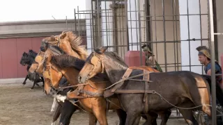 Římské dostihy (2/2)