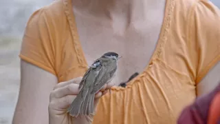 Tajomstvá migrácie v prírode