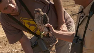 Tajomstvá migrácie v prírode