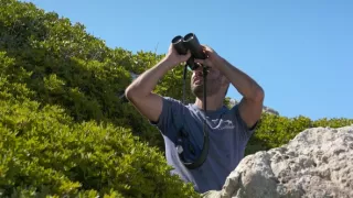 Tajomstvá migrácie v prírode