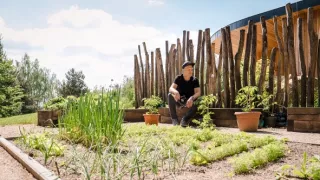 Ferdinandove záhrady III (7/8)