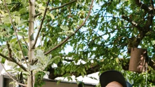 Ferdinandove záhrady III (7/8)