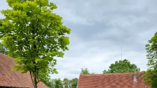 Ferdinandove záhrady III (7/8)