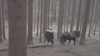 Ľudia na hranici (11/12)