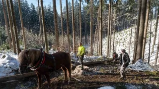 Ľudia na hranici (11/12)