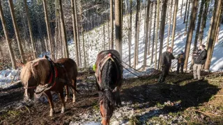 Ľudia na hranici (11/12)