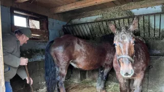 Ľudia na hranici (11/12)