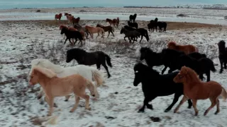 Severské krajiny z vtáčej perspektívy (2/2)