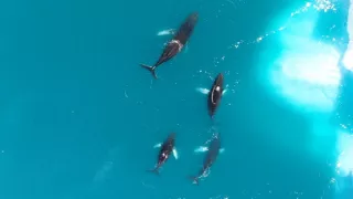 Severské krajiny z vtáčej perspektívy (2/2)