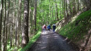 Chôdza - liek pre telo a dušu