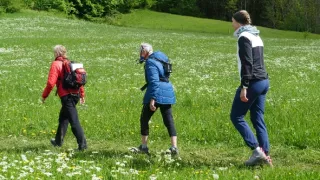 Chôdza - liek pre telo a dušu