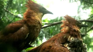 Kráľovstvo divočiny: Jarná príroda v Okutame