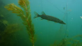 Magické hlubiny (5/6)