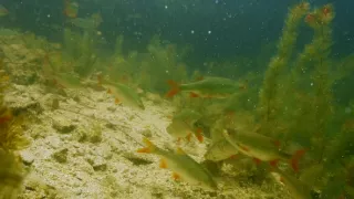 Magické hlubiny (5/6)