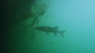 Magické hlubiny (5/6)