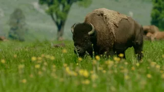 Narozeni ve Skalnatých horách (1/2)