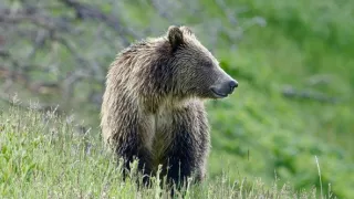 Narozeni ve Skalnatých horách (1/2)