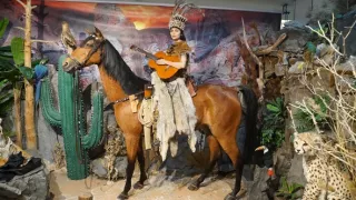 Maya - tiger indický