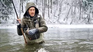České rybie legendy II