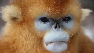 Zimný rozprávkový svet prírody