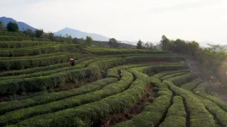 Jedna šálka, tisíc príbehov