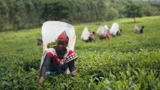 Jedna šálka, tisíc príbehov