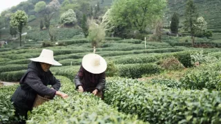 Jedna šálka, tisíc príbehov