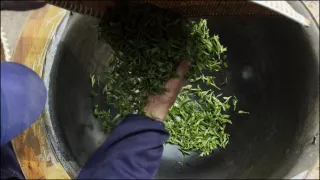 Jedna šálka, tisíc príbehov