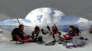 Dobrodružstvo s kŕdľom sedemsto žralokov