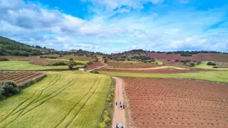 Camino na kolečkách