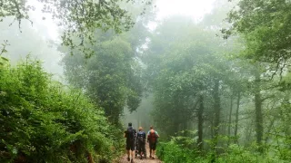Camino na kolečkách