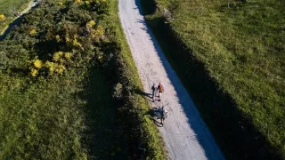 Camino na kolečkách