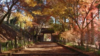 Japonsko: Čaro ročných období (2)