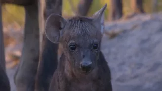 Velkolepá příroda Afriky