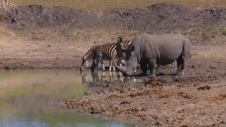 Velkolepá příroda Afriky