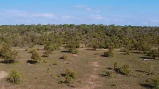 Velkolepá příroda Afriky