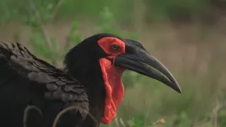 Velkolepá příroda Afriky