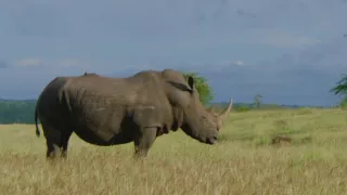 Velkolepá příroda Afriky
