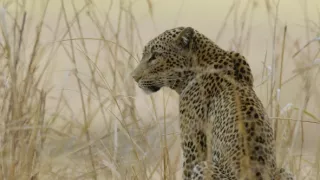 Velkolepá příroda Afriky