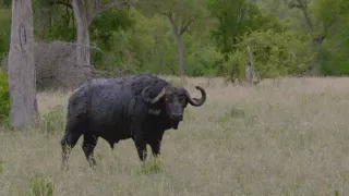 Velkolepá příroda Afriky